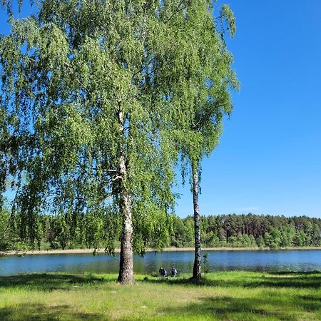 Osrodek Wypoczynkowy Zacisze 호텔 Śliwice 외부 사진