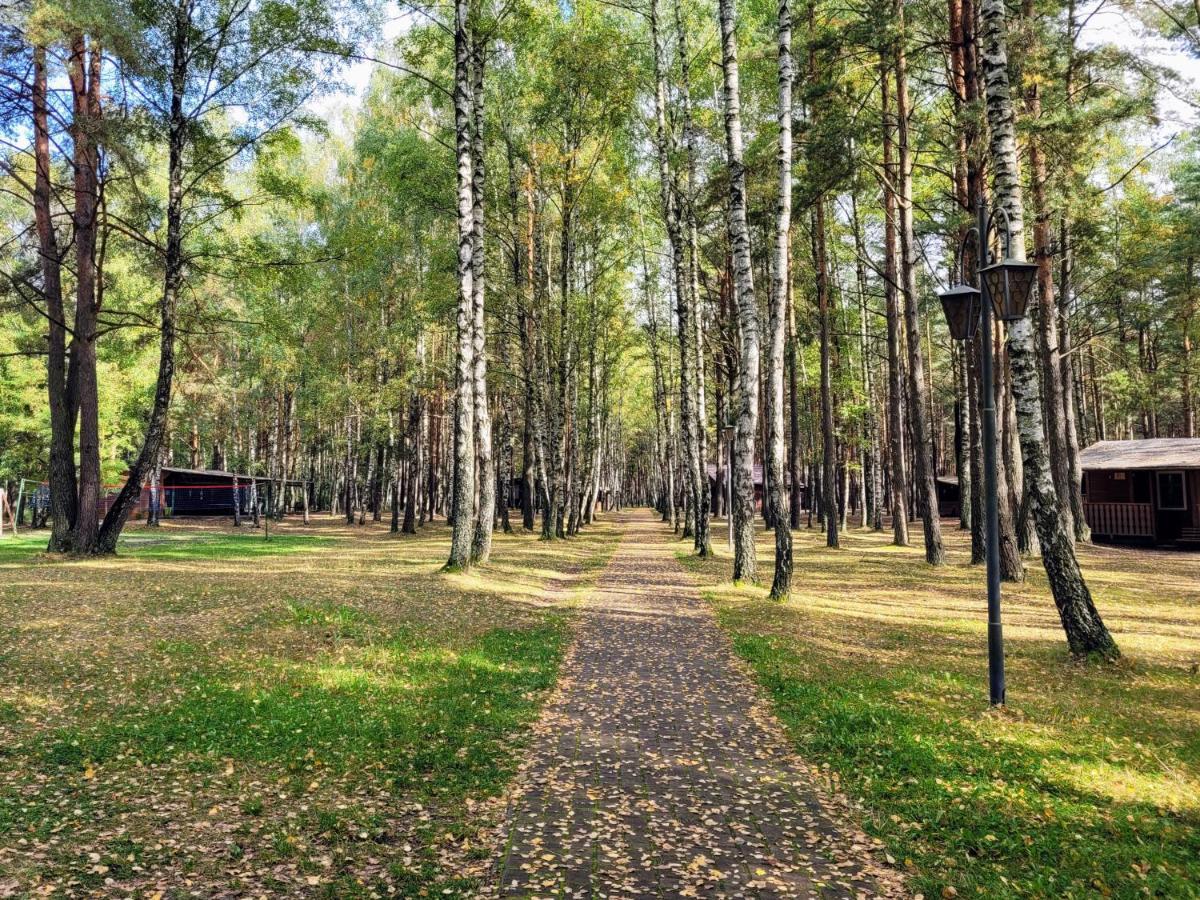 Osrodek Wypoczynkowy Zacisze 호텔 Śliwice 외부 사진